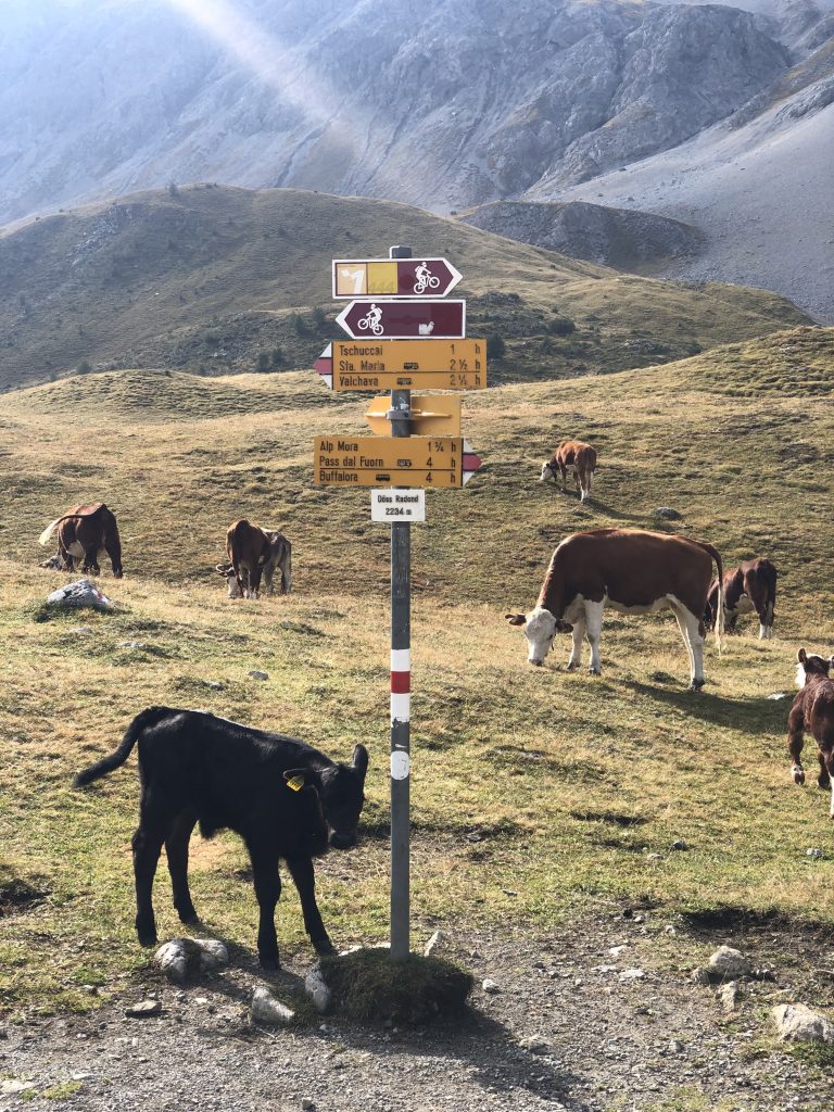 Döss Radond