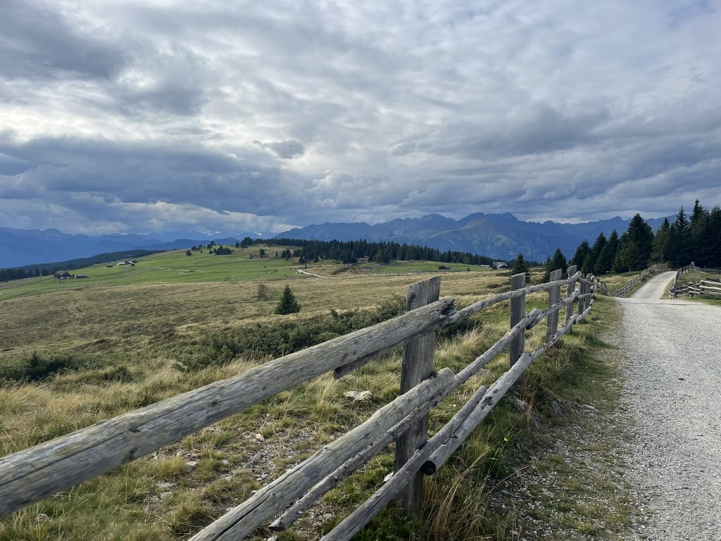 Blick zum Pleitlerkofel