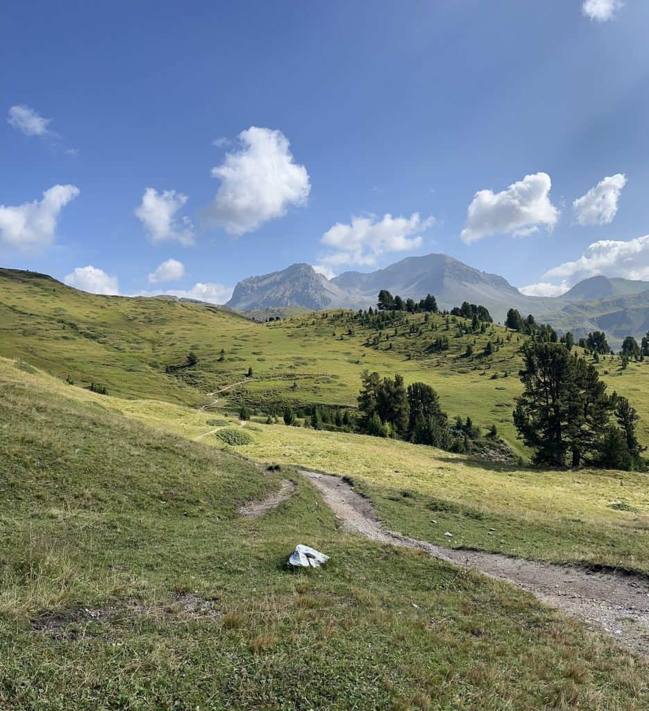 Alp da Munt