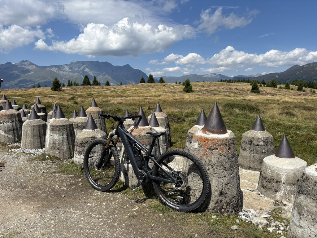 Plamort Drachenzähne