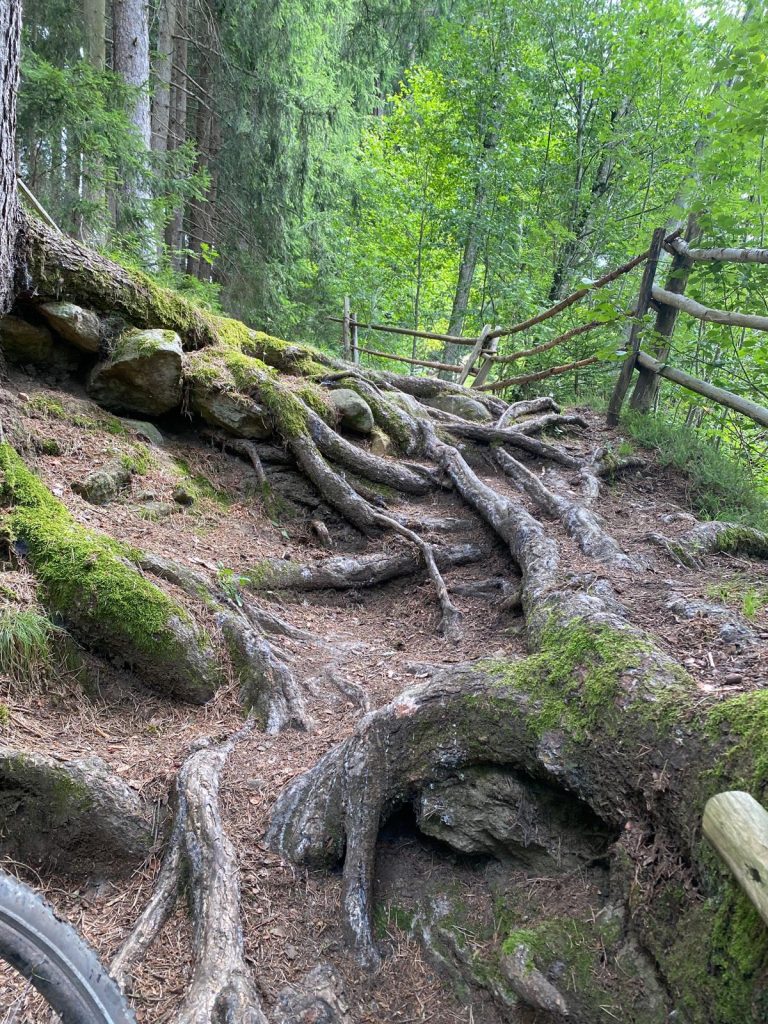 260f7b80-8ccf-4b51-b7e9-b80ae2fcb21c