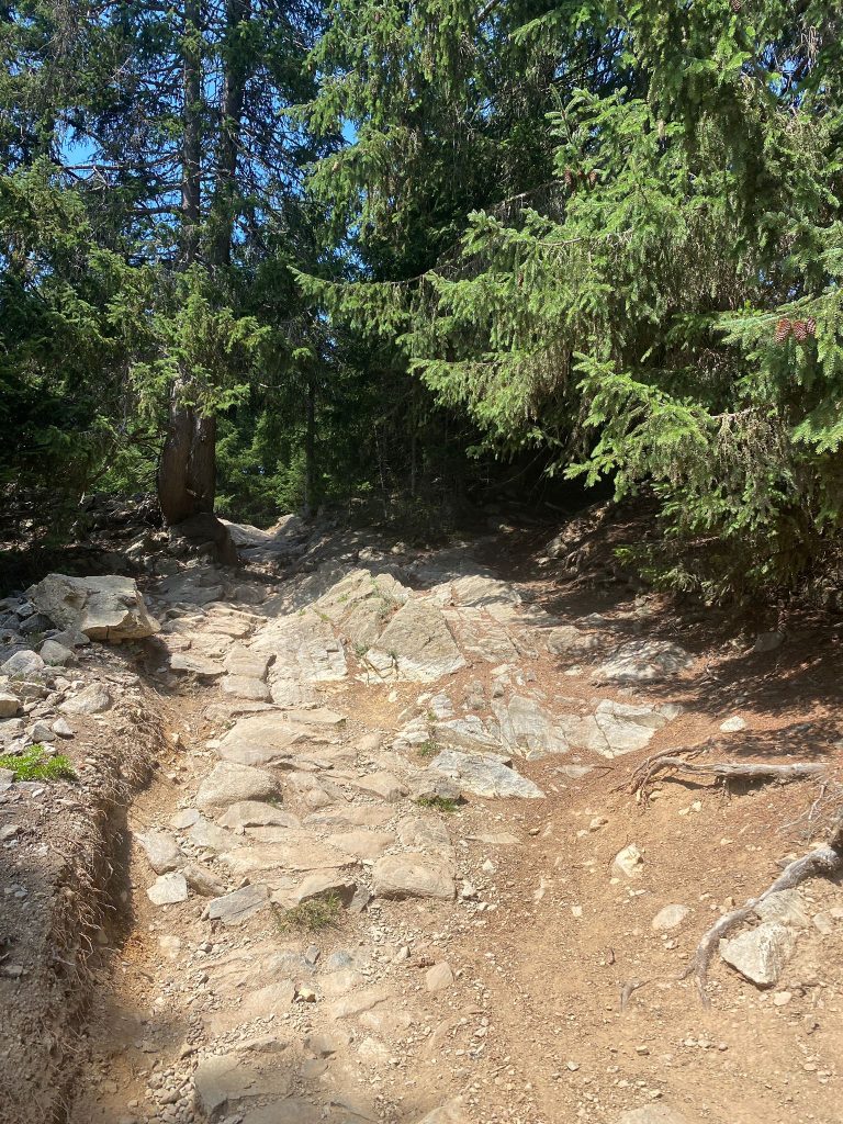 3f202c3e-d097-423c-982e-cc5d8db38f3f