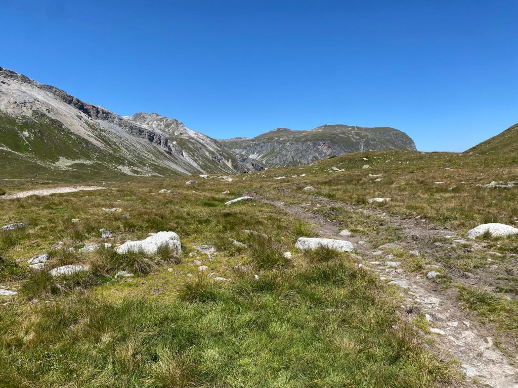 4729ccda-2ca1-46bf-8da4-b01dfabb6292