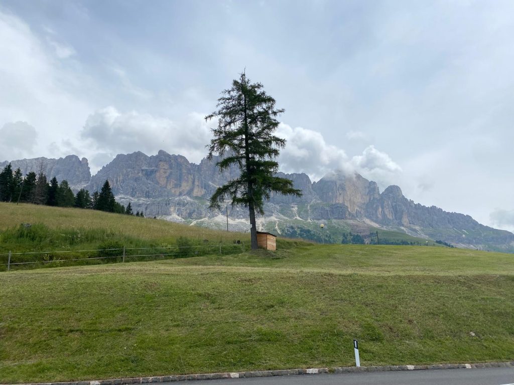 6aa77977-ac8d-4fc6-a84e-7aff8cc38cf5