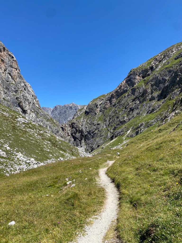 7a286281-609e-41ce-9b41-3d0e910dda3a