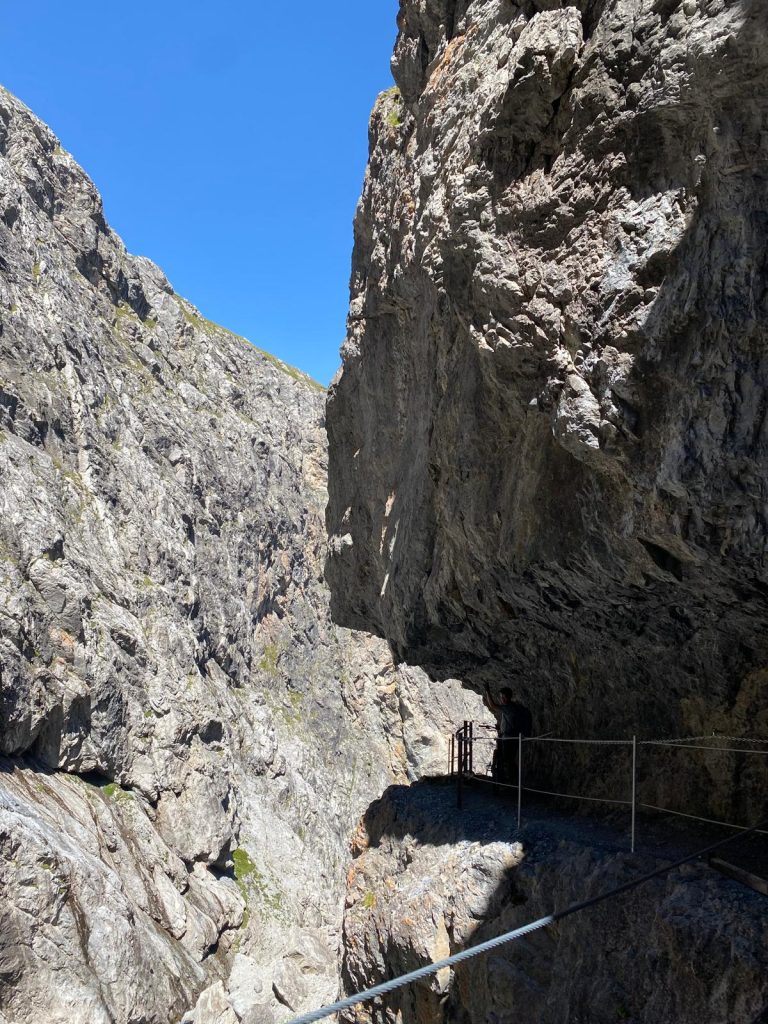 8fa8f740-73ce-4a33-bdd2-d1ee601d2e8e