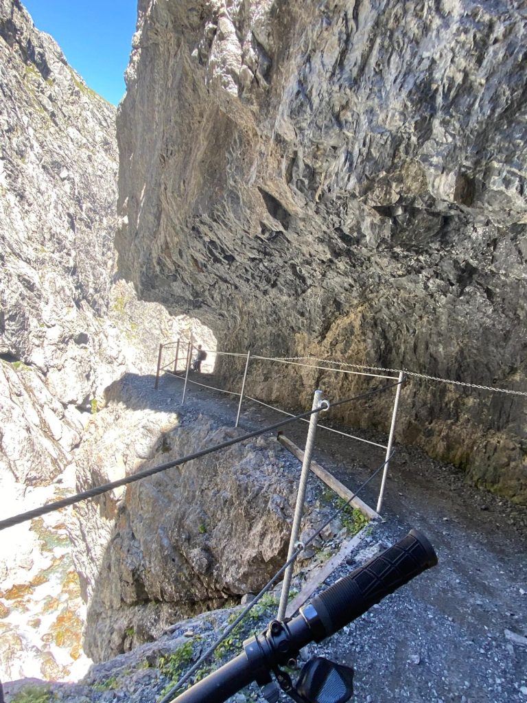 a584d70a-fa36-45e2-abb8-dfcffb8ba985