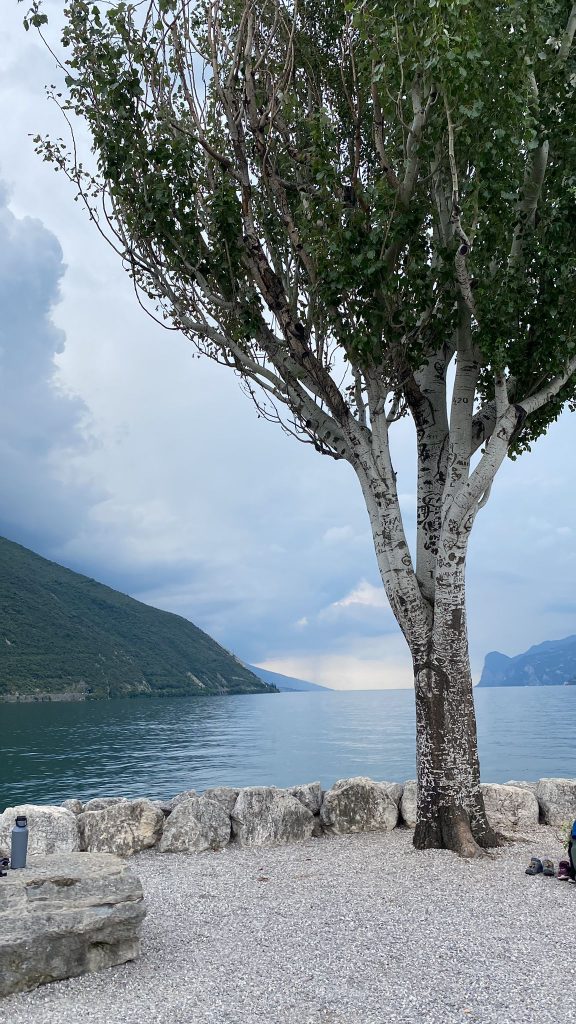 aee5fdc3-95eb-4f50-b4da-3ce5ceda3ed3