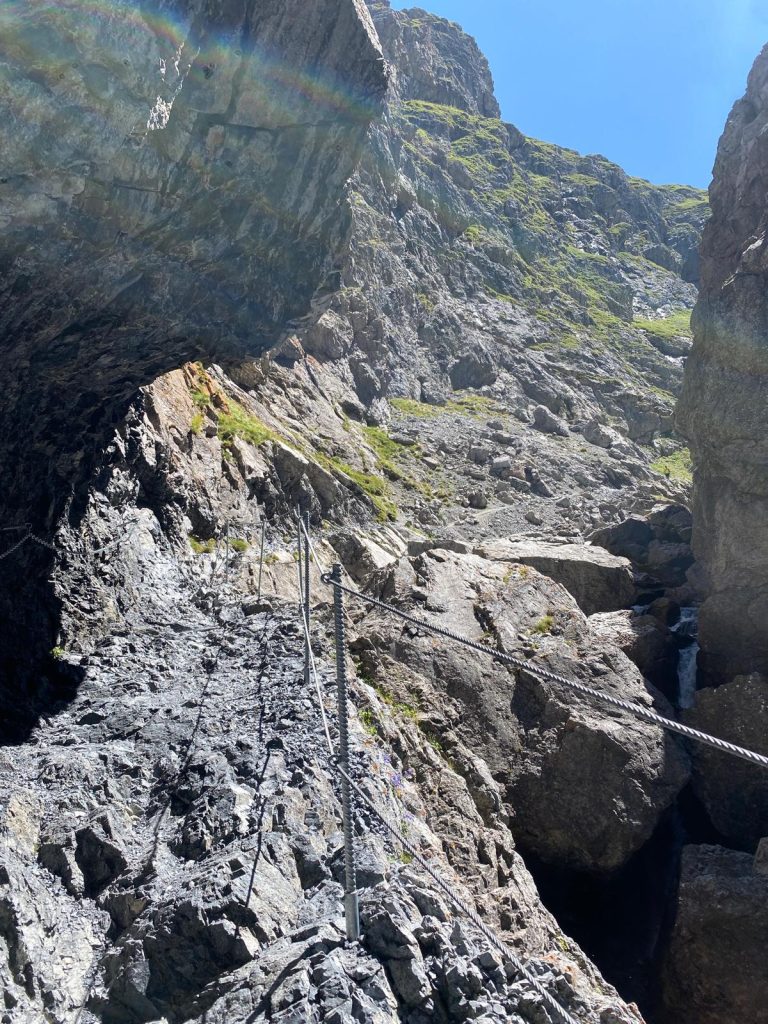 df6f4454-035c-4f07-bcf0-67f3d1874c98