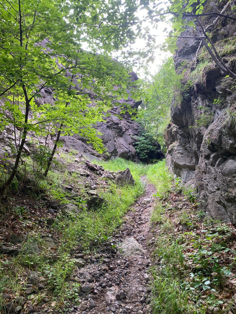 e4ea278d-b9a3-4b5c-8872-b89bd7d357ff